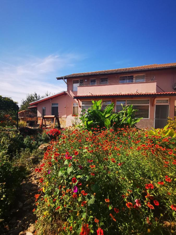 Guest House Ezerets Exterior photo